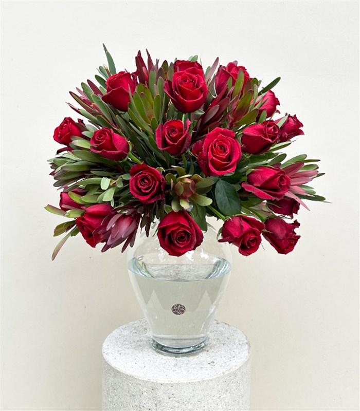 Love Language Deluxe Panoramik 25 Kırmızı Gül Conebushes Aranjmanı