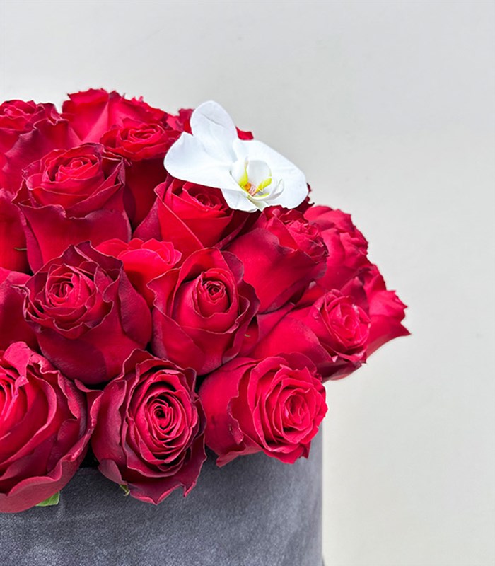 Rosalie Gri Grand Kutuda 51 Kırmızı Güller