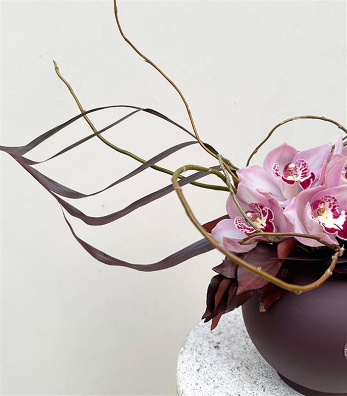 Carlotta Seramik Vazoda Pembe Cymbidium Orkide Aranjmanı