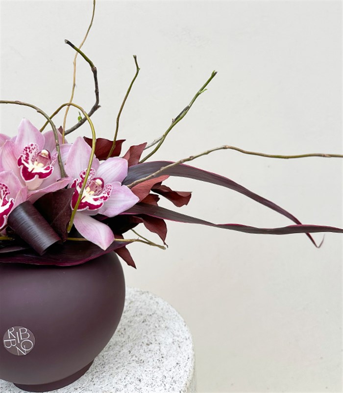 Carlotta Seramik Vazoda Pembe Cymbidium Orkide Aranjmanı