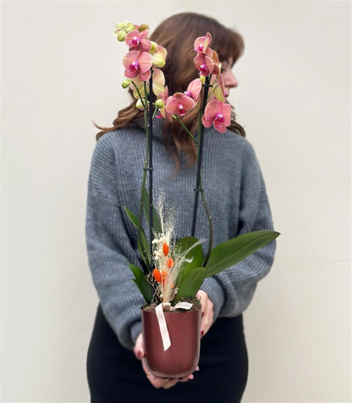 Luxe Bakır Chrome Vazoda Narçiçeği Orkide 2 Dallı