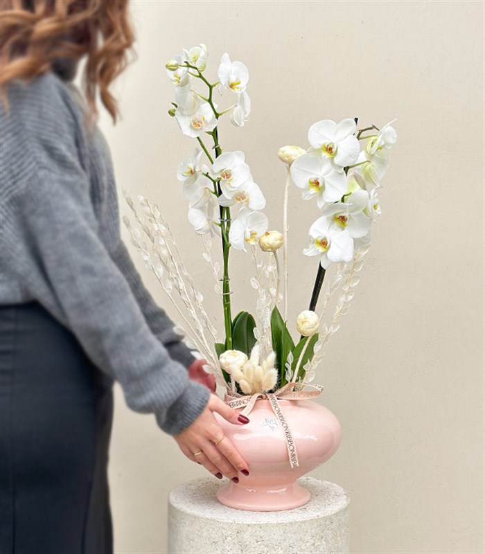 Luxe Pudra Seramik Vazoda Beyaz Orkide 2 Dallı