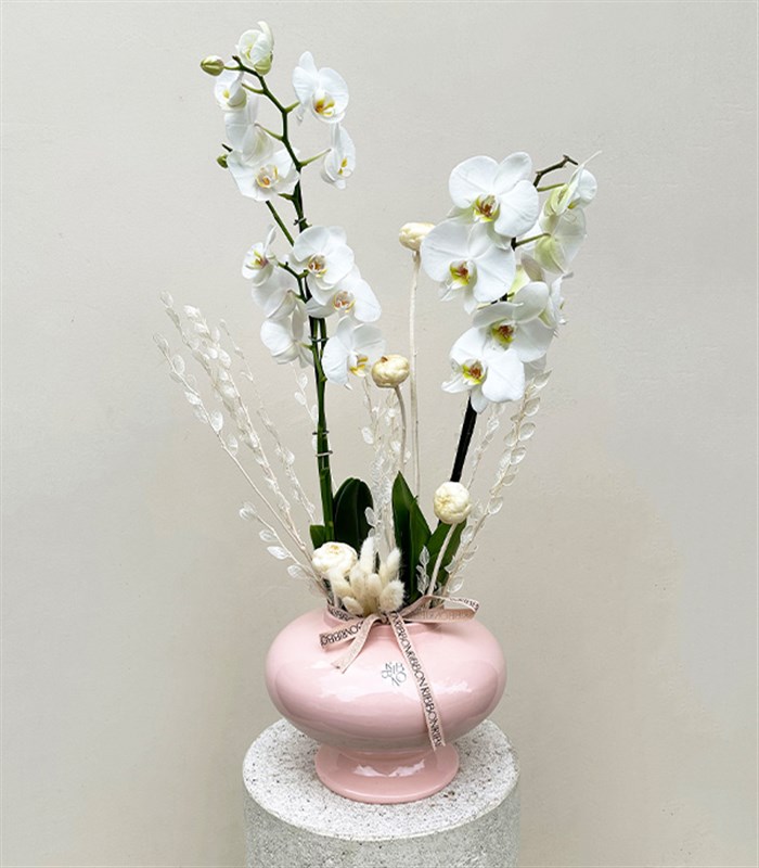 Luxe Pudra Seramik Vazoda Beyaz Orkide 2 Dallı