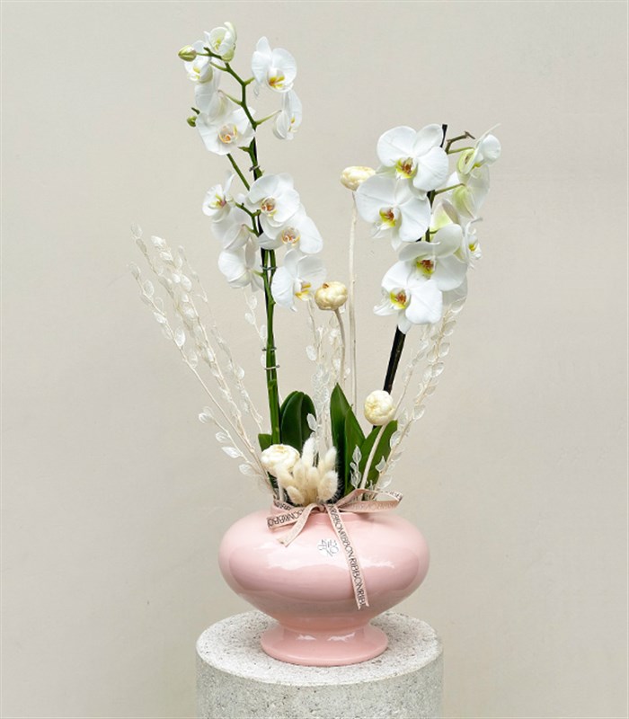Luxe Pudra Seramik Vazoda Beyaz Orkide 2 Dallı