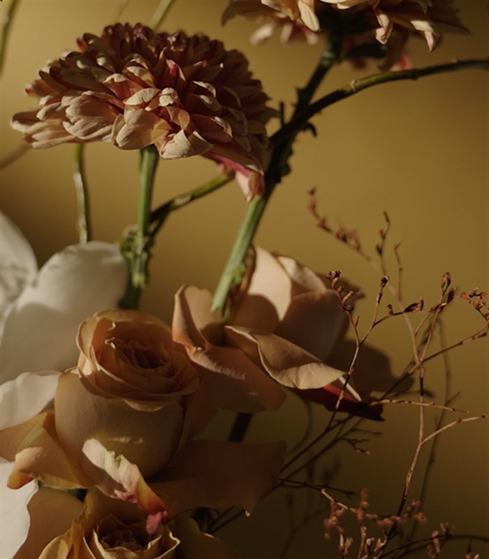 Roses of Antoinette Seramik Vazoda Cappucino Gül Aranjmanı