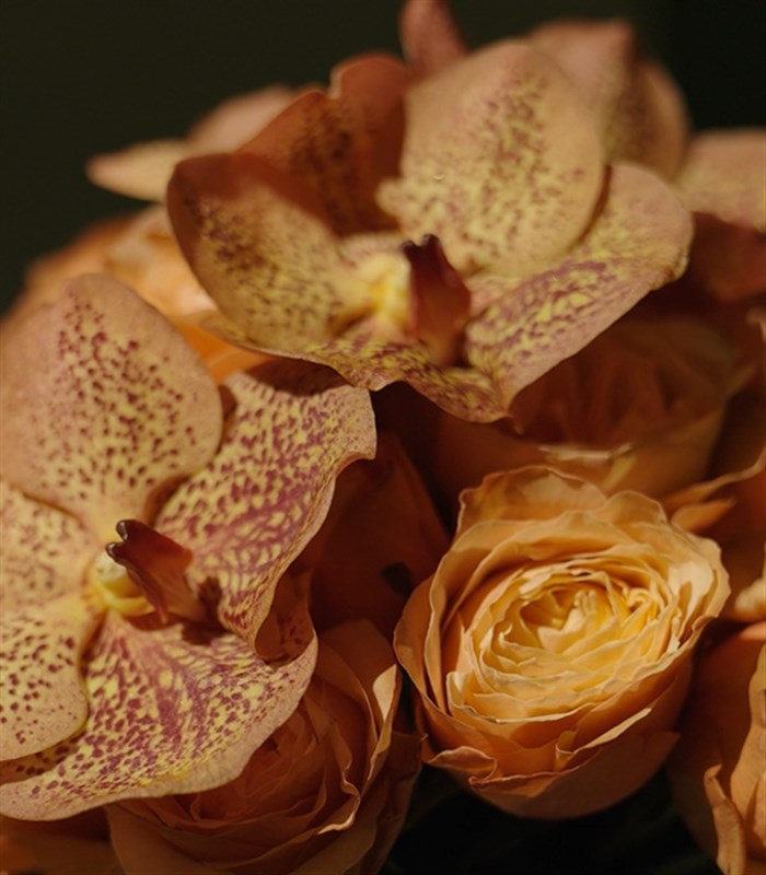 Soleil Deluxe Panoramik 101 Somon Gül Aranjmanı