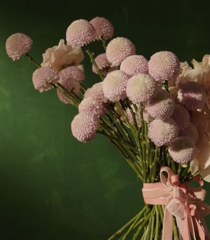 Tendresse Deluxe Pembe Gül Anastasya Buketi