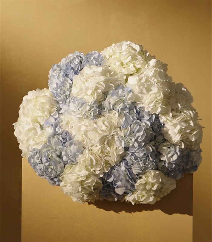 Douceur Grand Deluxe Mavi Ortanca Beyaz Ortanca Buketi