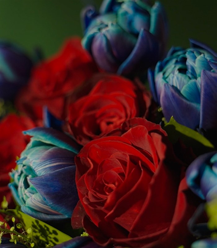 Henrietta Grand Deluxe 20 Kırmızı Gül 30 Galaksi Lale Buketi