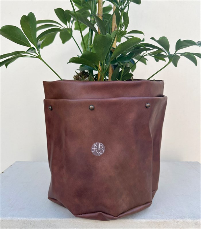 Kahverengi Deri Saksıda Schefflera Şeflera Bitkisi 120 cm