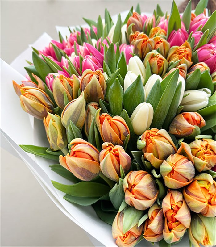 151 Pembe Turuncu Beyaz Lale Buketi Royal Deluxe