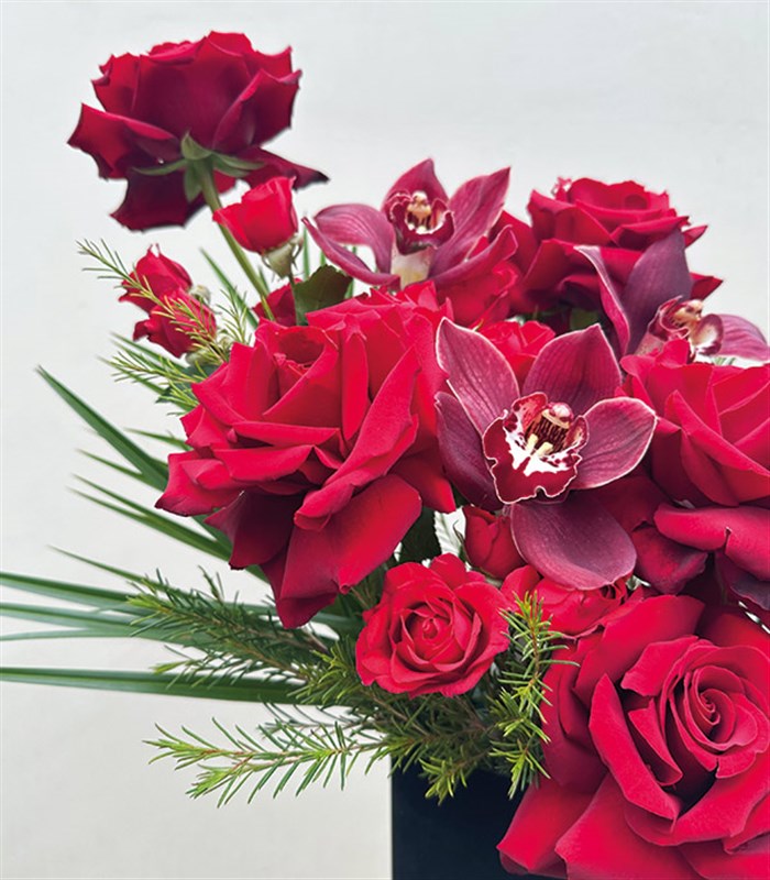 I Love You Kırmızı Gül Bordo Cymbidium Orkide Aranjmanı