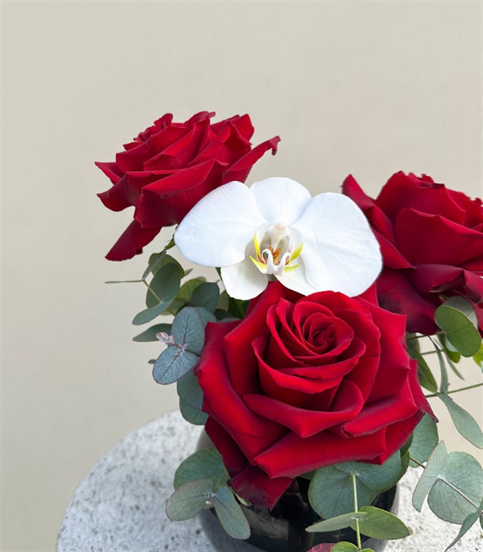 Grace Mini Siyah Vazoda Kırmızı Gül Orkide