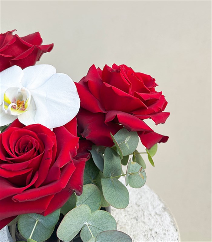 Grace Mini Siyah Vazoda Kırmızı Gül Orkide