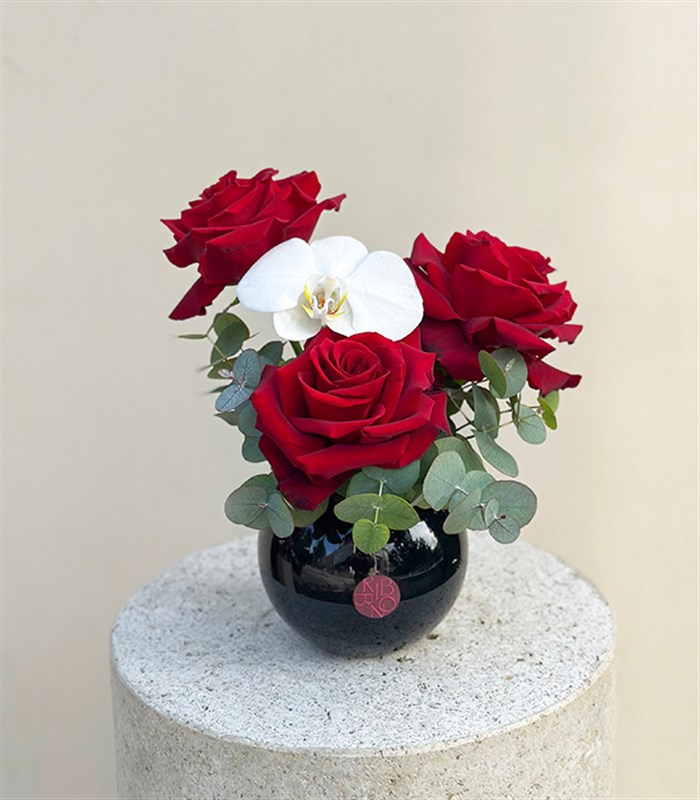 Grace Mini Siyah Vazoda Kırmızı Gül Orkide