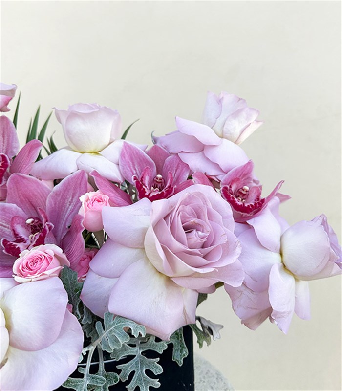 Lily Siyah Kadife Kutu Lila Güller Cymbidium Orkide Aranjmanı