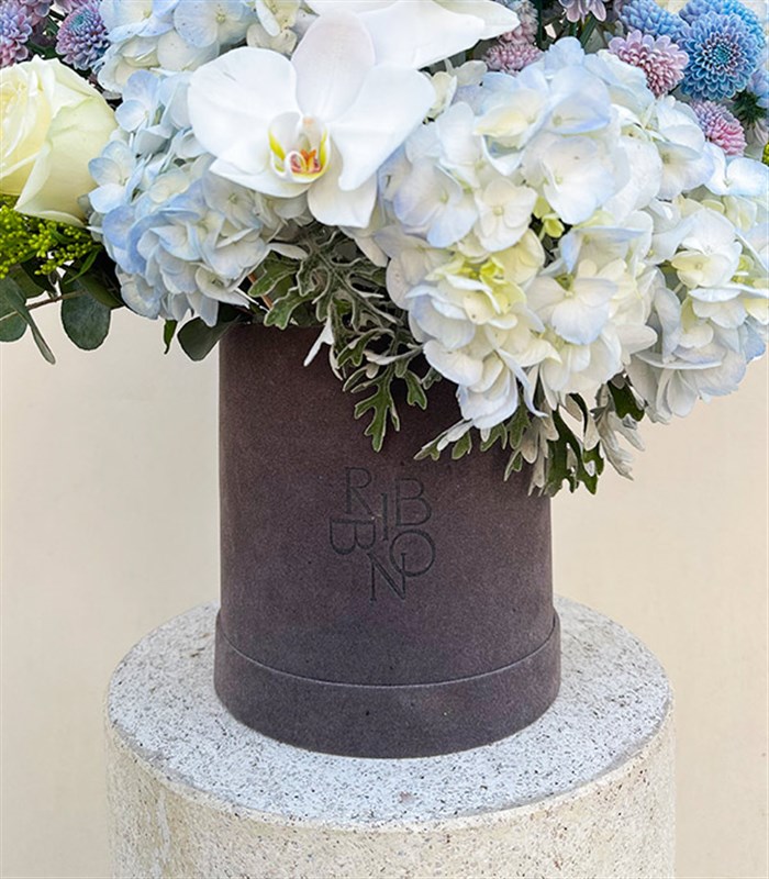 Frost Gri Kutuda Mavi Ortanca Beyaz Laleli Beyaz Çiçekler