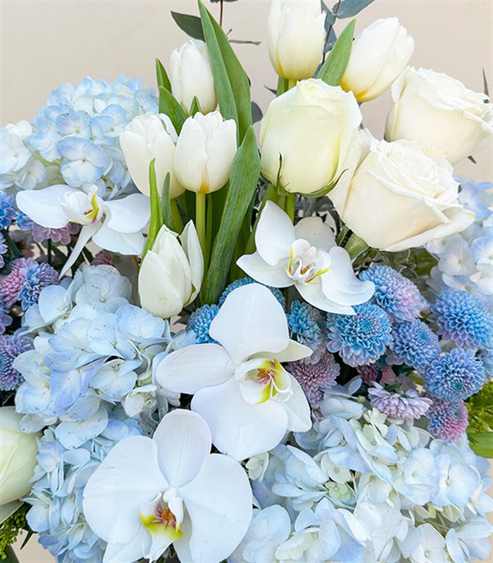 Frost Gri Kutuda Mavi Ortanca Beyaz Laleli Beyaz Çiçekler