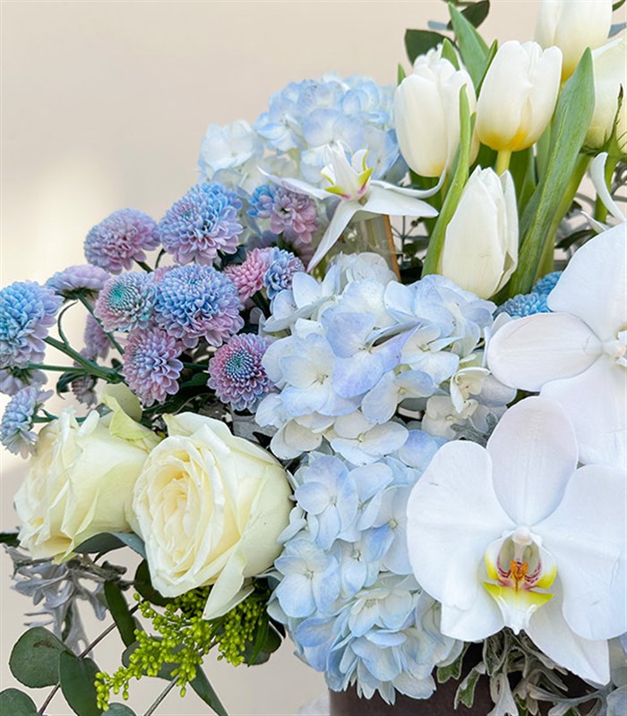 Frost Gri Kutuda Mavi Ortanca Beyaz Laleli Beyaz Çiçekler