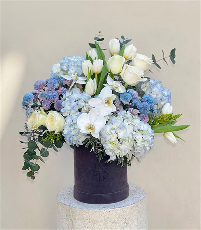 Frost Gri Kutuda Mavi Ortanca Beyaz Laleli Beyaz Çiçekler