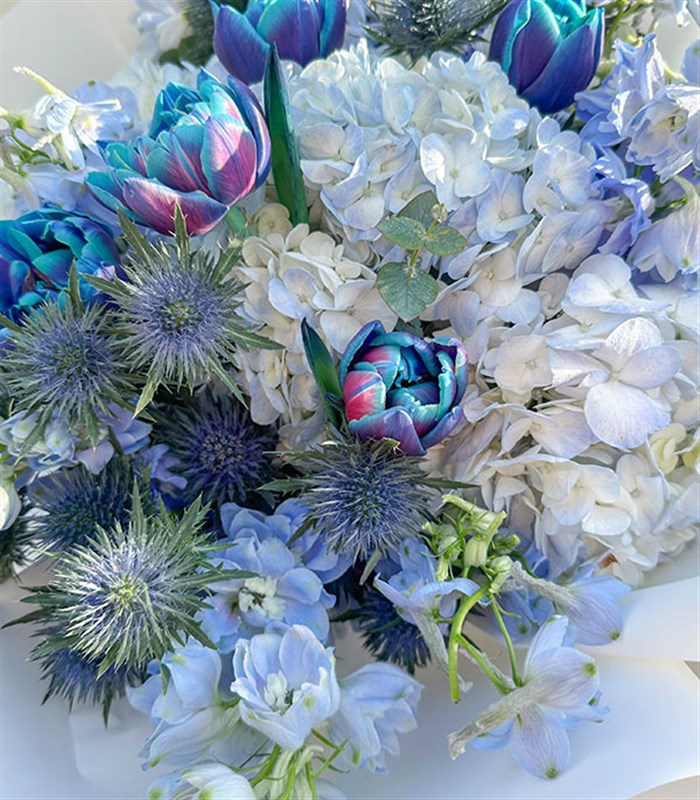 Cerulean Galaksi Lale Mavi Ortanca Delfinyum Buketi