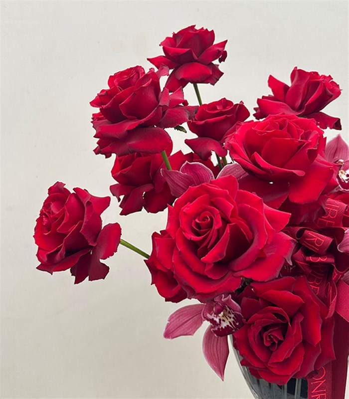 Passion Deluxe Vazoda Kırmızı Gül Bordo Cymbidium Orkide Aranjmanı