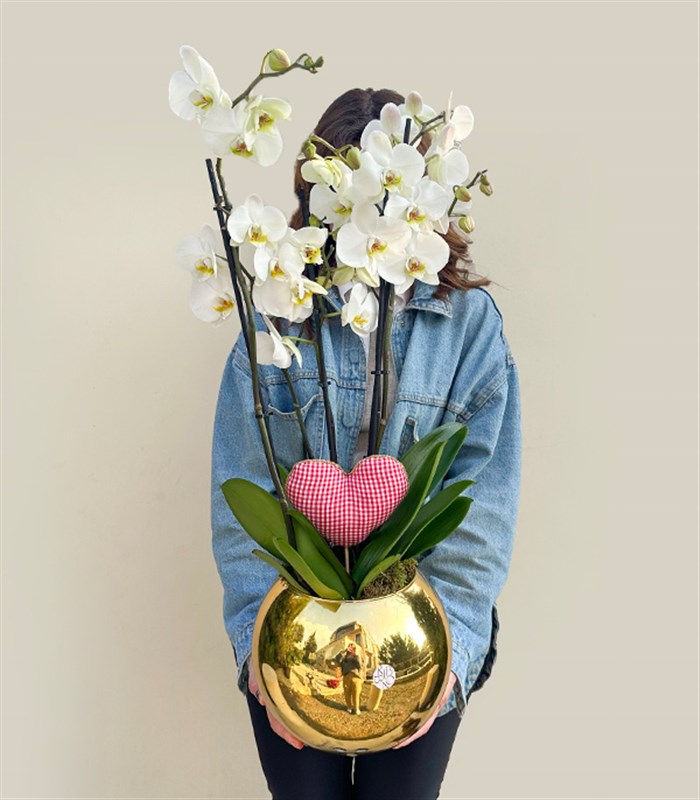 Deluxe Gold Vazoda Kalp Figürlü 4 Dal Beyaz Orkide