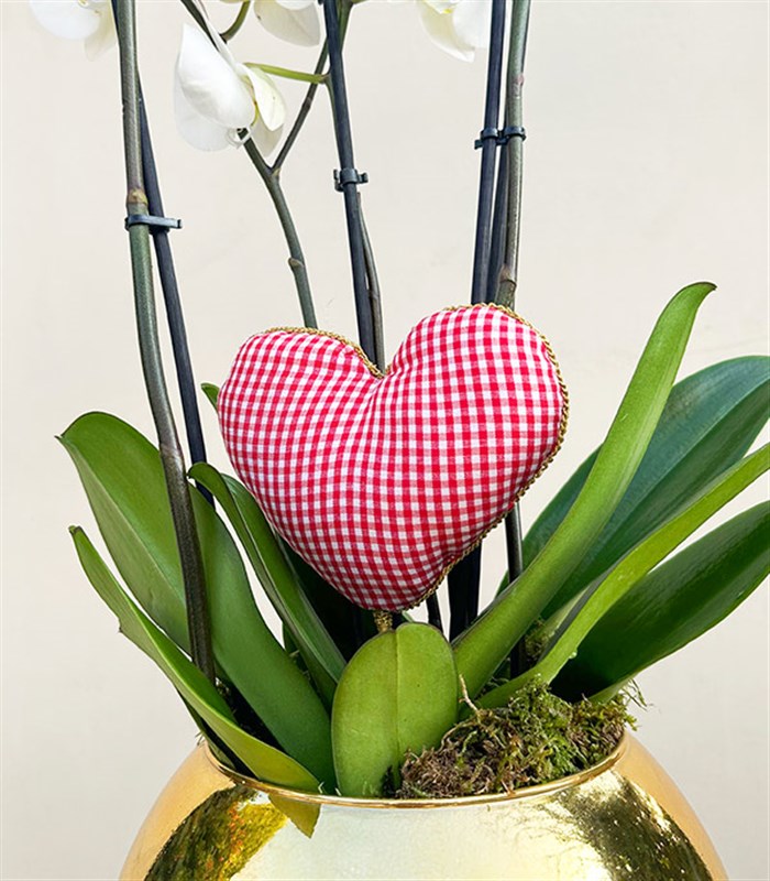 Deluxe Gold Vazoda Kalp Figürlü 4 Dal Beyaz Orkide