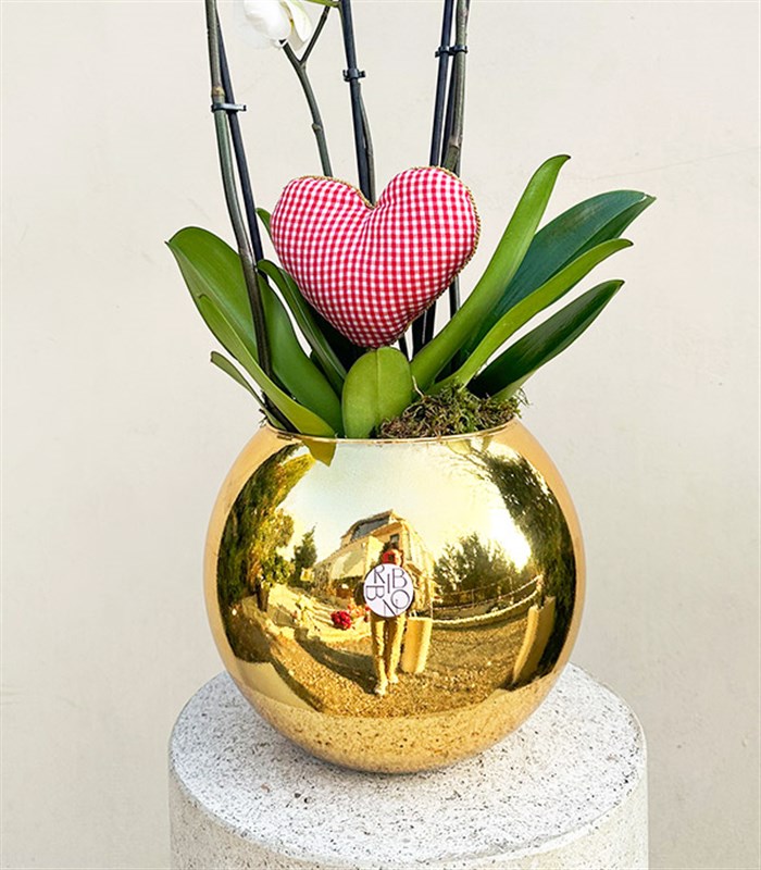 Deluxe Gold Vazoda Kalp Figürlü 4 Dal Beyaz Orkide