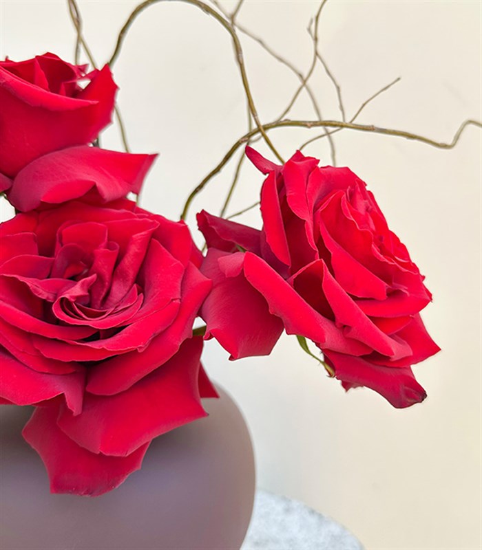 Oui Oui Kahverengi Seramik Vazoda Kırmızı Gül Aranjmanı