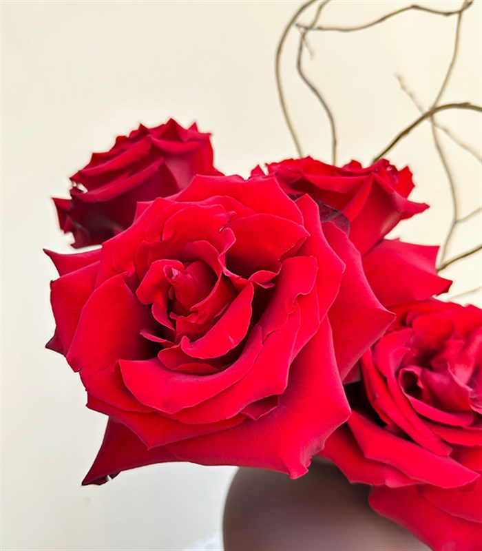 Oui Oui Kahverengi Seramik Vazoda Kırmızı Gül Aranjmanı