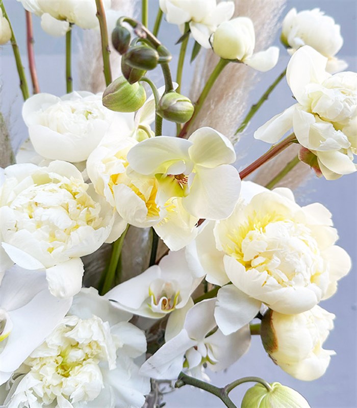 Pamuk Prenses in Rüyası 50 Beyaz Şakayık Aranjmanı