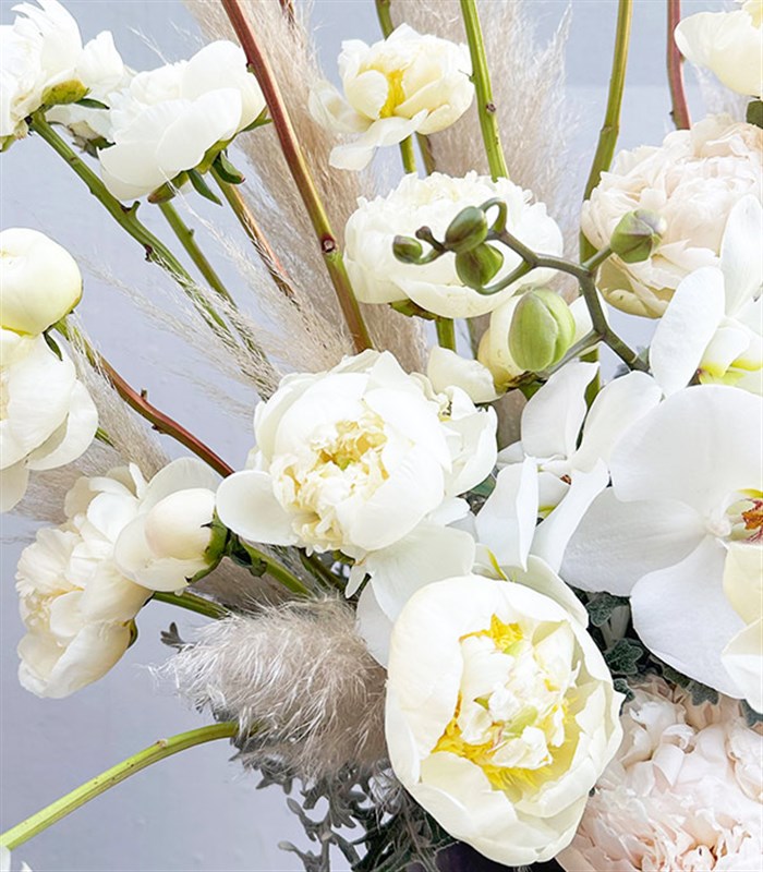 Pamuk Prenses in Rüyası 50 Beyaz Şakayık Aranjmanı