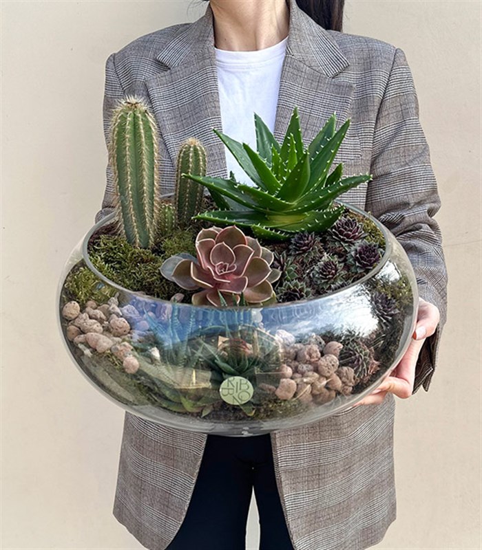 Grand Deluxe Cam Vazoda Kaktüs ve Sukulent Teraryum