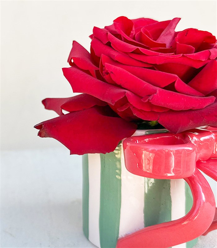 Ribbon Valentines Bow El İşi Seramik Mug Kırmızı Gül