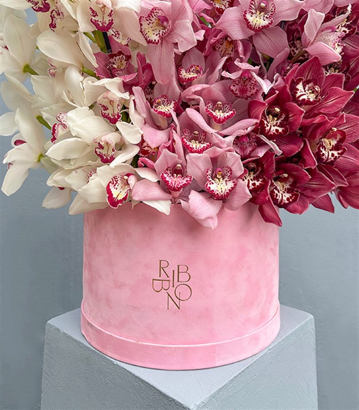 Royal Deluxe Şeker Pembe Kutuda Cymbidium Orkide Aranjmanı