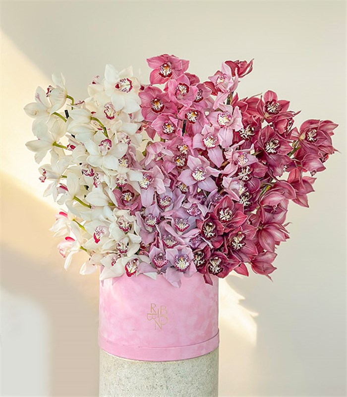 Royal Deluxe Şeker Pembe Kutuda Cymbidium Orkide Aranjmanı