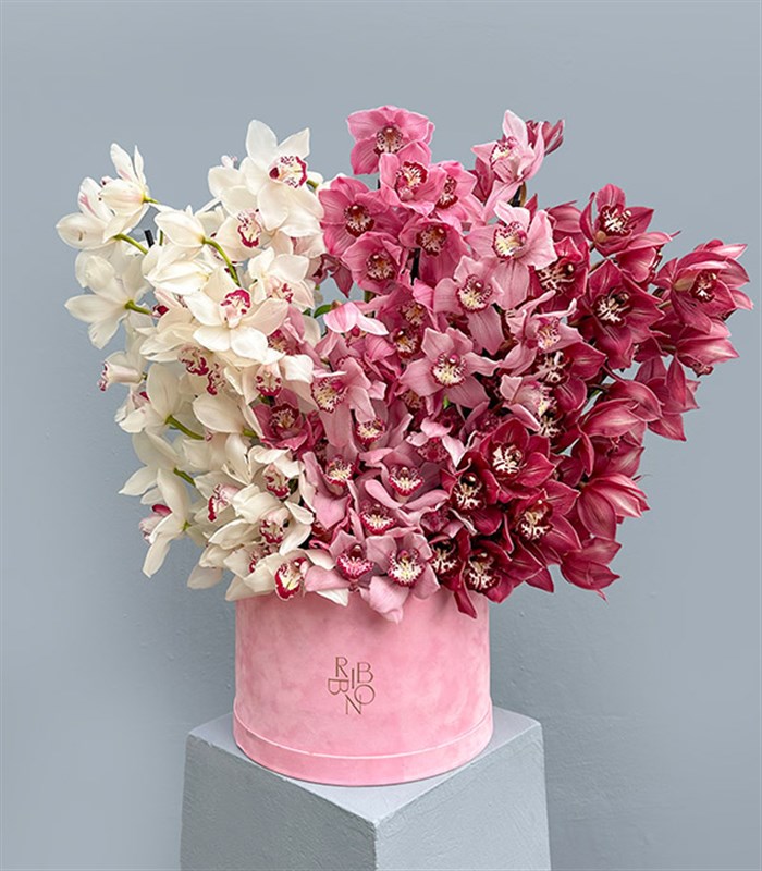 Royal Deluxe Şeker Pembe Kutuda Cymbidium Orkide Aranjmanı