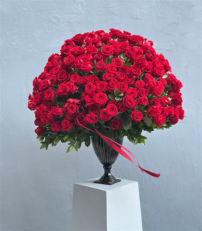 Aphrodite 251 Kırmızı Gül Panoramik Royal Deluxe Aranjman