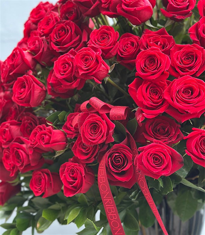 Aphrodite 251 Kırmızı Gül Panoramik Royal Deluxe Aranjman