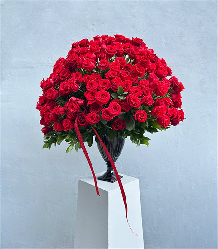Aphrodite 251 Kırmızı Gül Panoramik Royal Deluxe Aranjman