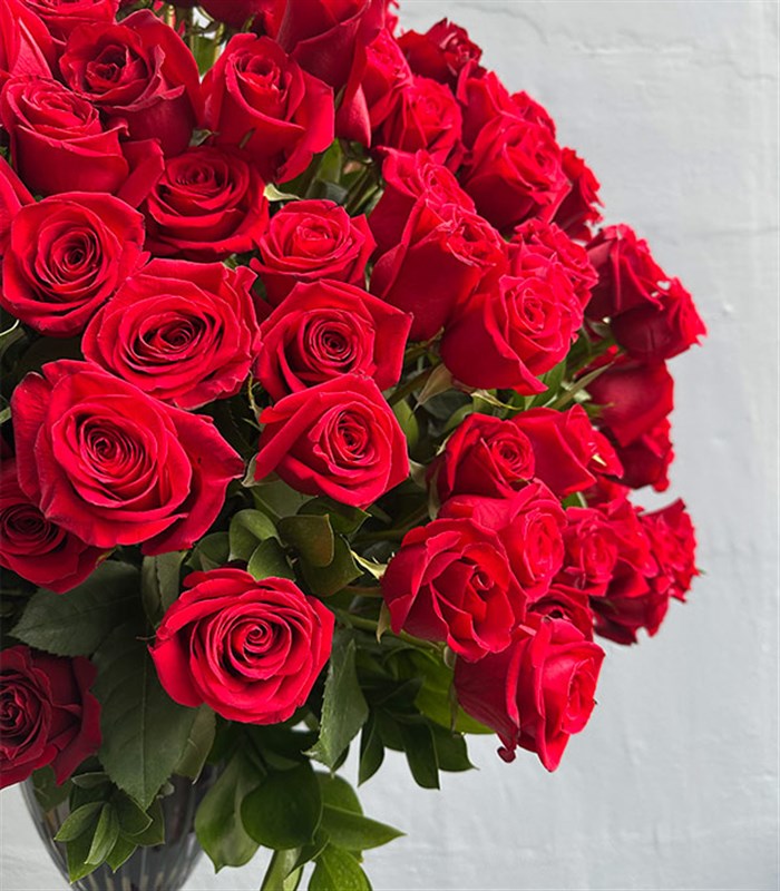 Aphrodite 251 Kırmızı Gül Panoramik Royal Deluxe Aranjman
