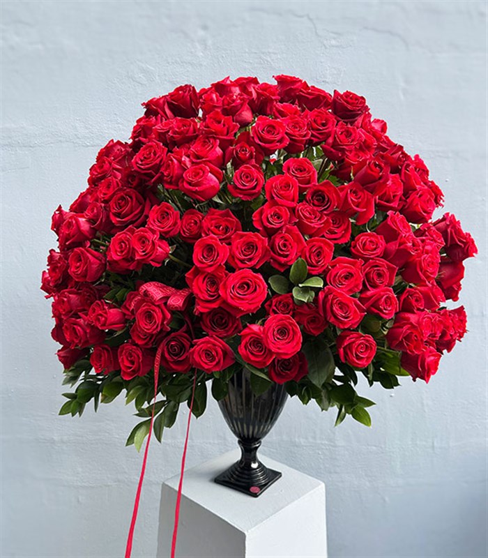 Aphrodite 251 Kırmızı Gül Panoramik Royal Deluxe Aranjman