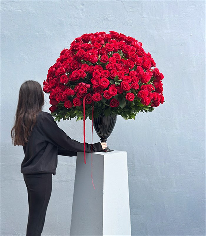 Aphrodite 251 Kırmızı Gül Panoramik Royal Deluxe Aranjman