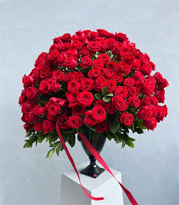 Aphrodite 251 Kırmızı Gül Panoramik Royal Deluxe Aranjman