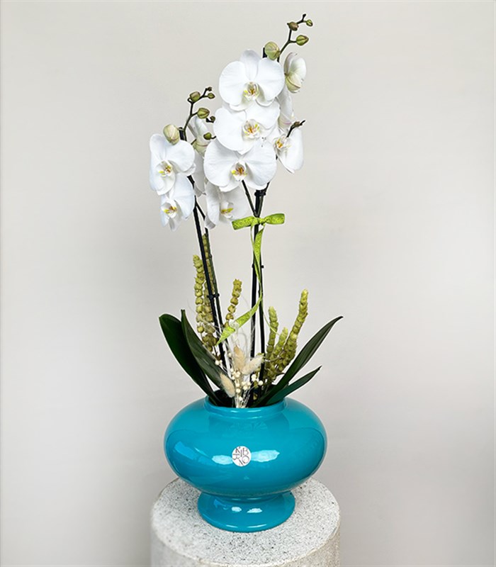 Luxe Turkuaz Seramik Vazoda Beyaz Orkide 2 Dallı
