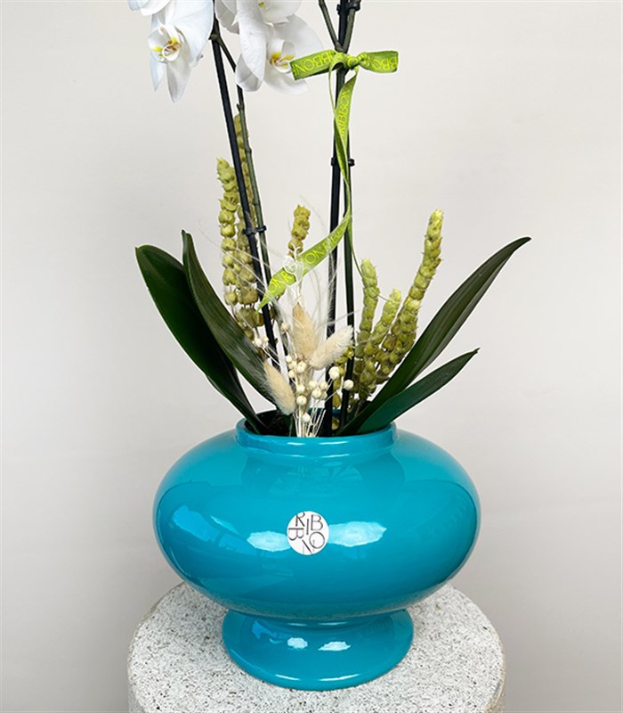 Luxe Turkuaz Seramik Vazoda Beyaz Orkide 2 Dallı