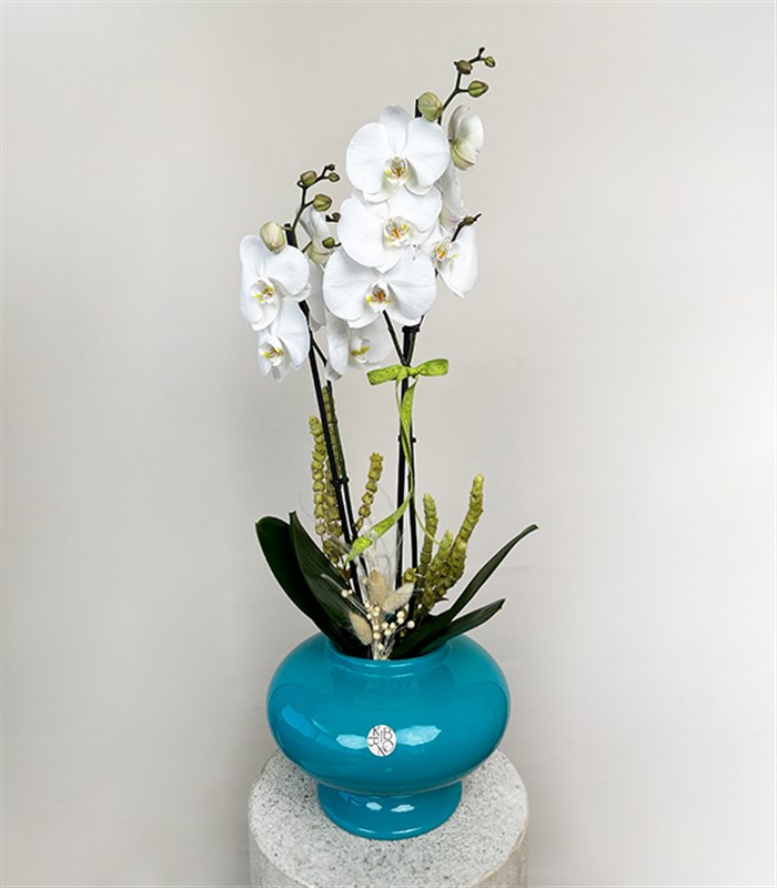 Luxe Turkuaz Seramik Vazoda Beyaz Orkide 2 Dallı