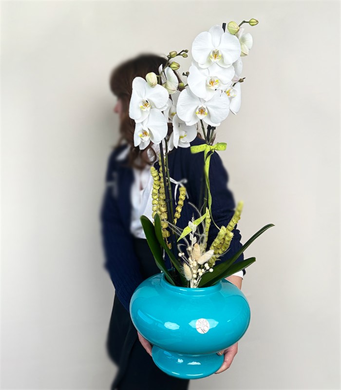 Luxe Turkuaz Seramik Vazoda Beyaz Orkide 2 Dallı