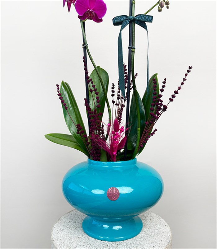 Luxe Turkuaz Seramik Vazoda Fuşya Orkide 2 Dallı